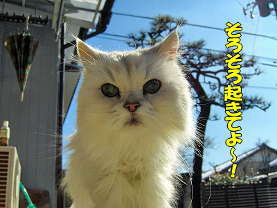 Ä«¡¢µ¯¤¤¿¤é¡¦¡¦¡¦¡¦¥