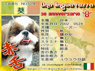 524-aoi-30kinen