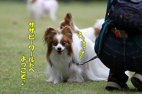 ¡Ú¥µ¥¶¥ª¥Õ2011¡Û part1¡¡19