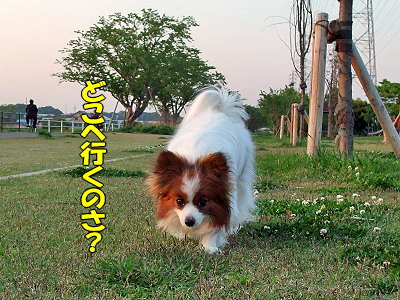¤ª½Ð¤«¤±¤¹¤ë¤ª¡Á¢ö¢