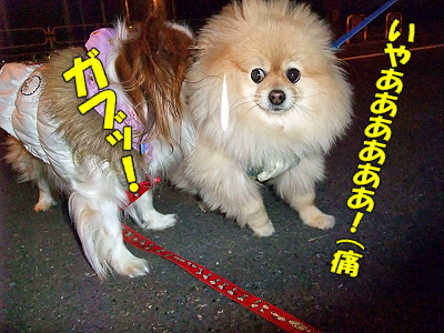 ¥Ð¥¤¥ª¥Ï¥¶¡¼¥É¬