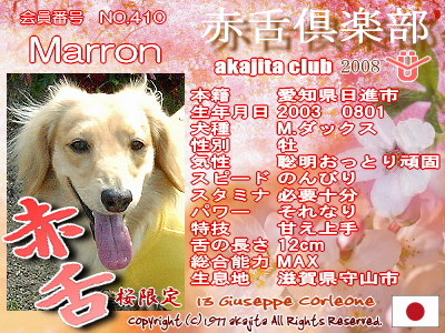 410-marron-2008saku¶