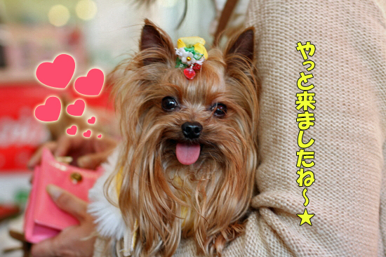 ¥¢¥¤¥È¡¼¥ë¥«¥Õ¥§¡ú¡¡17