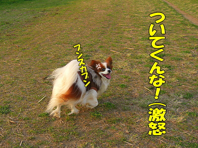 ¤À¤¤¤¸¤ç¤Ö¤«¡©¡©§