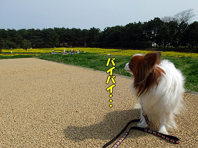 DOG GARDEN CAFE£