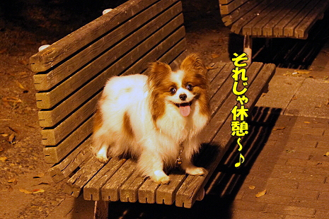 ¥È¥ï¥¤¥é¥¤¥È¡ú¥µ¥¶¥Ó¡¼§