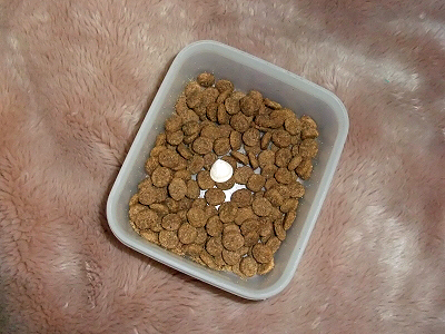 ¤ªÅÚ»º¡úª
