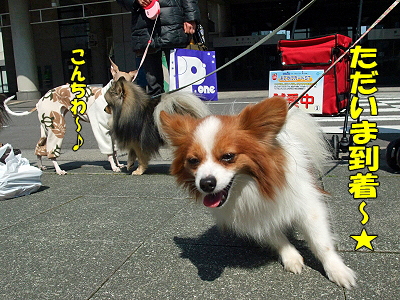 ¥µ¥¶¥Ó¡¼¡¢²£ÉͤËΩ¤Ä¡ª¤Î´¬¤³