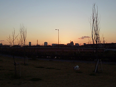¤¤¤È¥µ¥¶É÷¡¢¤½¤Î¥µ¥¶£÷¢
