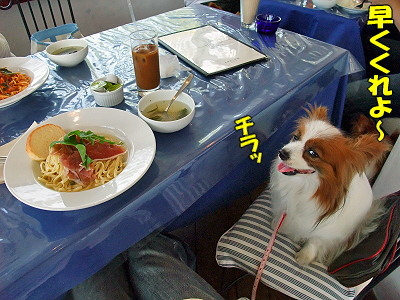 ¤ªÂæ¾ì¥ª¥Õ¡ú¡Ê¸åÊӡ˦
