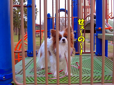 Í·¶ñ¤ÇGU¡¦¡¦¡¦¡¦©