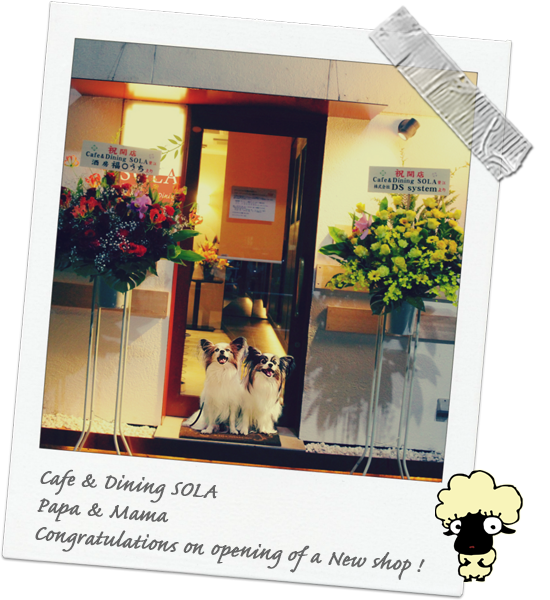 Cafe & Dining SOLA ¡ú¡¡39