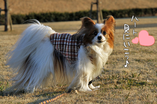 ¸¡ºº·ë²Ì¤Î¸ì¤ë¥â¥Î¡¡13