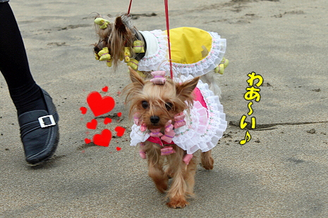 ¾¡±º¥ª¥ó¥é¥¤¥ó¡¡part2ª