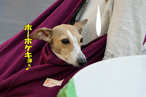 ´èÄ¥¤ì¡¢¤Ð¤Õ¢ö¡Ê¸åÊÓ¡Ë¢