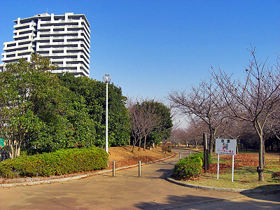 ǯ±Û¤·¡¦¡¦¤«¡Ê´À¢