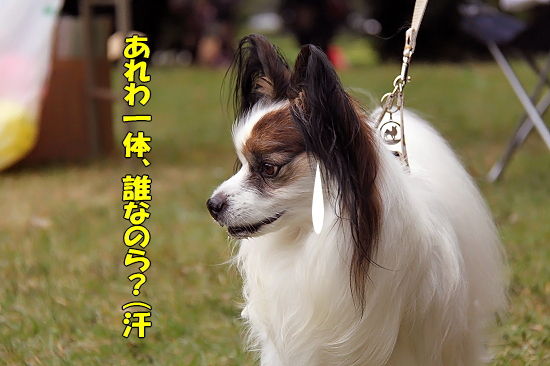 ¡Ú¥µ¥¶¥ª¥Õ2010¡Û¡¡¤½¤Î£²?
