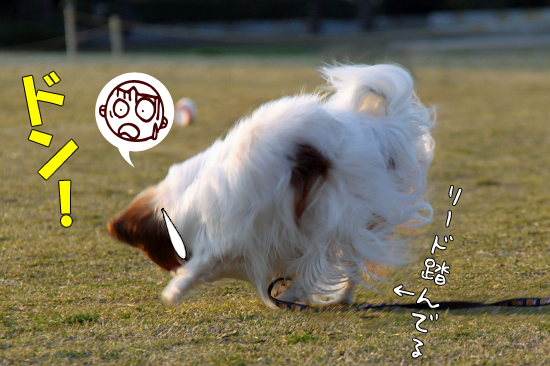 Áö¤é¤»¤Æ¤ß¤¿¡ú¡¡03