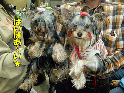 ¥¢¥¸¥¢¥¤¥ó¥¿¡¼2009¡Ê¸åÊÔ¡Ë´