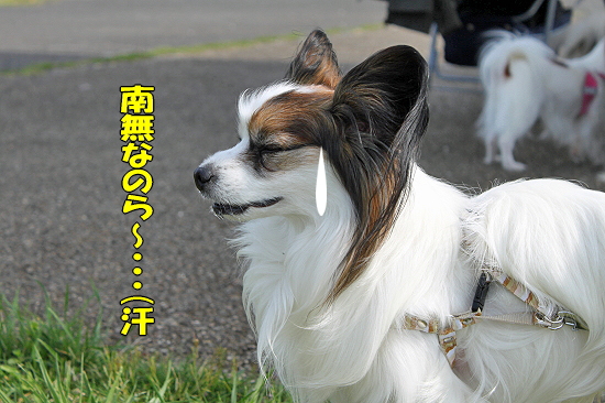 ¤µ¤è¤Ê¤é¡¢AKI¤µ¤ó¡¦¡¦¡¦¥Õ¥¡¥¤¥Ê¥ë¡ªª