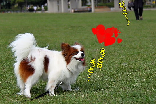 ½©¤Î¸æ¤â¤Æ¤Ê¤·?