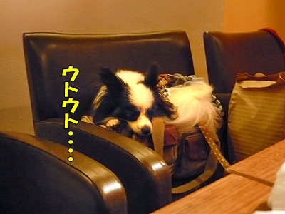 ͼ¿©²ñ¢