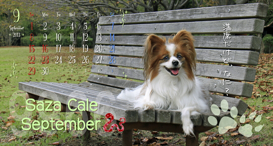 ¡Ú¥µ¥¶¥«¥ì2013¡ÛÇÛÁ÷¡Á¡ú¡ù¡ú¡¡13