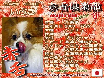 009-ibuki-2008