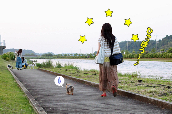 ¤¢¤¸¤µ¤¤º×¤ê©