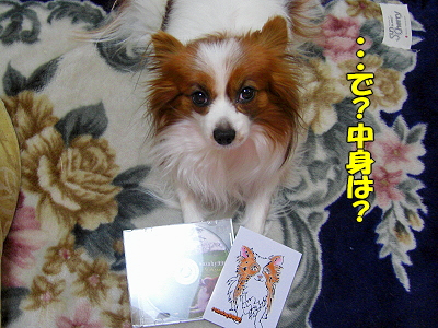 ¡ÚCD¥×¥ì¥¼¥ó¥È¡¦ÃêÁªÊýË¡¡Û¥