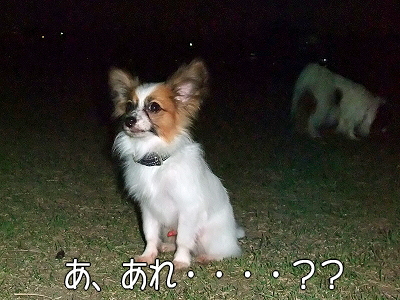 ¤À¡Á¤ì¤À¡ª¥