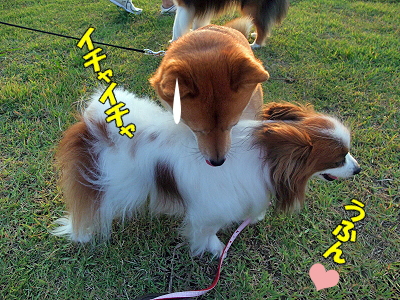 ¥Ê¥Ä¥³¹¶Î¬Ë¡¡ú£