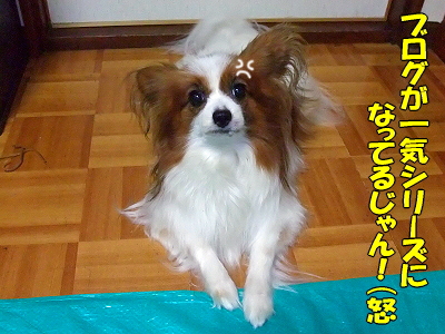 °ìµ¤¡£¡£¨