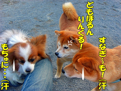 ¸¤¸ì®