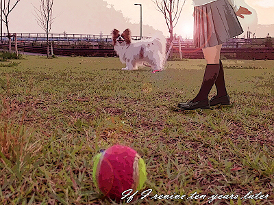 ¥Ý¥¹¥È¥«¡¼¥É¡úÅöÁª¼Ôȯɽ£