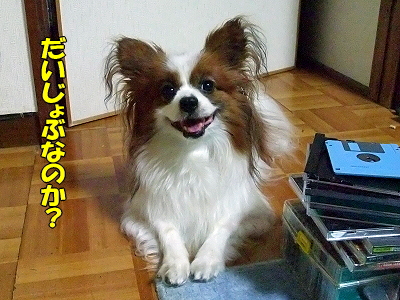¥¸¥¥Ë¥ó£