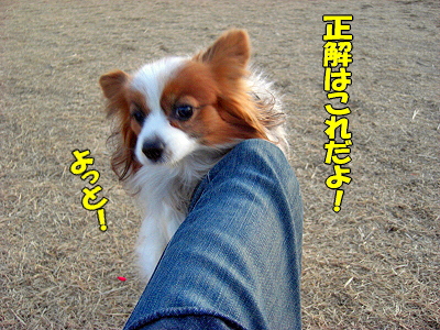 I AM LEGEND¡¦¡¦¡¦¡©§