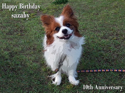 Happy Birthday sazaby§
