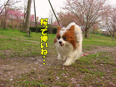 ºù»¶¤ë¡¦¡¦¡¦¥