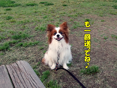 ¥×¥ì¥¼¥ó¥È¡¢¤ª¤ª¤¤Ë¡ú¥
