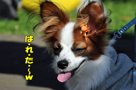 ½©¤Î¥ª¥Õ²ñ¡¡¤½¤Î£³®