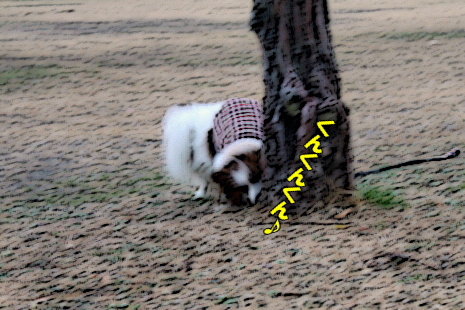 ½éÀã¤ä¡¦¡¦¡¦¥