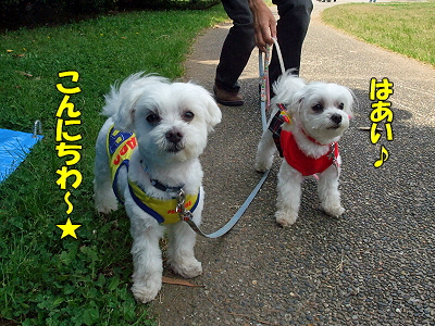 GWËëÄ¥¥ª¥Õ¡Ê³¤É͸ø±àÊԡ˧