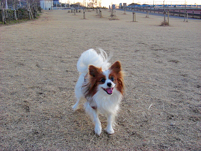 I AM LEGEND¡¦¡¦¡¦¡©¦