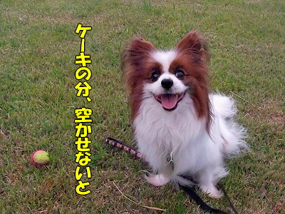 ¥Þ¥ë¥¬¥ê¡¼¥¿¤Ç¤ª¤á¤Ç¤È¤¦¡ú¨