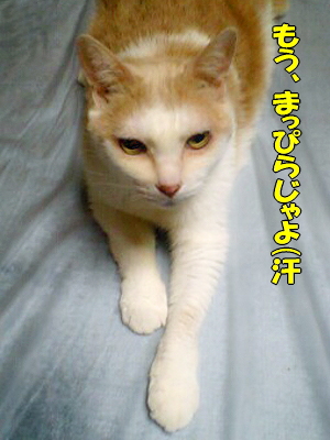 ¥°¥°¤¸¤¤¤µ¤ó¤Î»×¤¤½Ð§