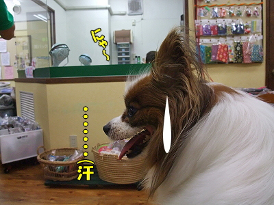 ¥Þ¥ë¥¬¥ê¡¼¥¿¤Ç¤ª¤á¤Ç¤È¤¦¡ú