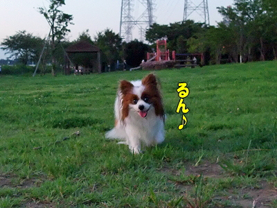 ¤¤¤Ä¤â¤Î¾ì½ê¤Øª