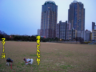 ¥¢¥í¥¢¤è¡¢±Ê±ó¤Ë¡¦¡¦¡¦¡¦¬