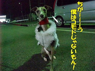 ¥Ï¥ó¥µ¥à¡ú¥¹¡¼¥Ä¬